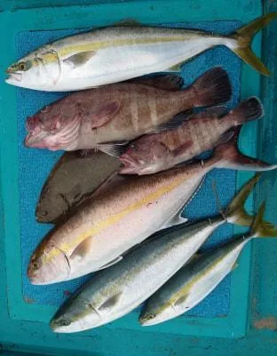 2021年1月23日の釣果・お知らせの写真 2