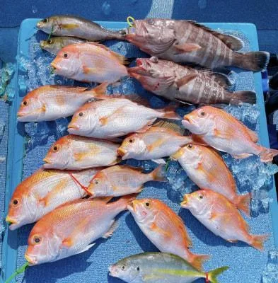 2023年12月23日の釣果・お知らせの写真 5