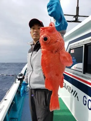 2019年5月31日の釣果・お知らせの写真 2