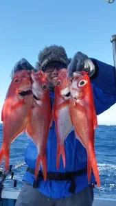 2017年2月28日の釣果・お知らせの写真
