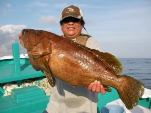 2008年7月17日の釣果・お知らせの写真