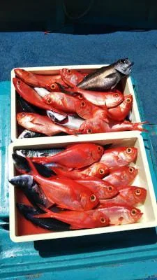 2018年4月19日の釣果・お知らせの写真 6