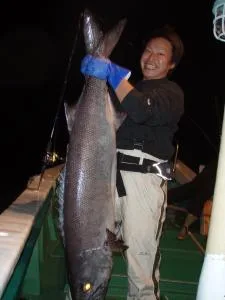 2007年11月26日の釣果・お知らせの写真 5