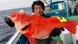 2016年1月2日の釣果・お知らせの写真 4