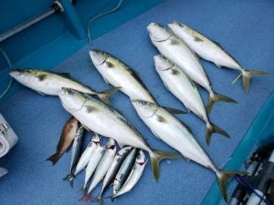 2022年6月26日の釣果・お知らせの写真 5