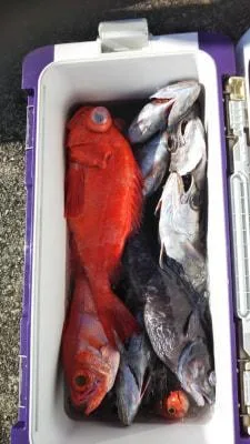2019年11月30日の釣果・お知らせの写真 3