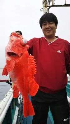 2018年5月26日の釣果・お知らせの写真 4