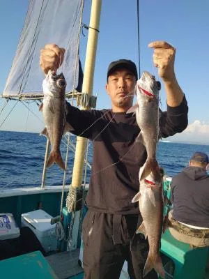 2022年11月12日の釣果・お知らせの写真 5