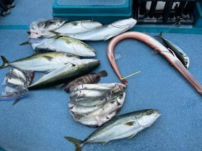 2022年7月3日の釣果・お知らせの写真 2