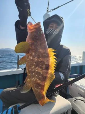 2023年2月25日の釣果・お知らせの写真