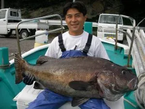 2008年10月12日の釣果・お知らせの写真 2