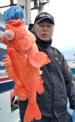 2019年5月9日の釣果・お知らせの写真 5