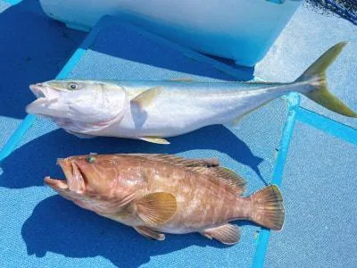 2025年2月11日の釣果・お知らせの写真 3