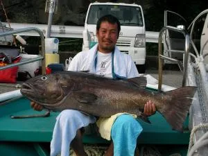 2008年9月23日の釣果・お知らせの写真