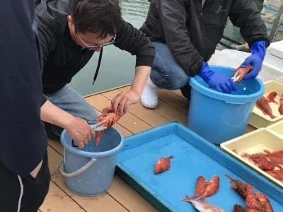2018年4月14日の釣果・お知らせの写真 8