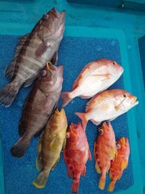 2024年2月18日の釣果・お知らせの写真 2