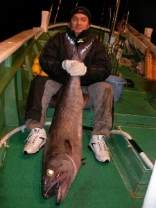2012年1月8日の釣果・お知らせの写真 6