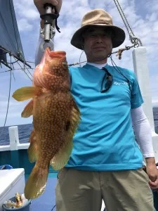 2017年7月28日の釣果・お知らせの写真 3