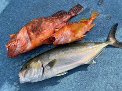 2022年1月4日の釣果・お知らせの写真 4