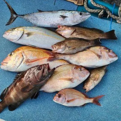 2023年8月28日の釣果・お知らせの写真 7