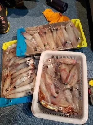 2019年8月5日の釣果・お知らせの写真 9