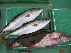 2010年3月6日の釣果・お知らせの写真 5