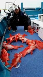 2017年3月26日の釣果・お知らせの写真 2