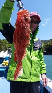 2017年4月23日の釣果・お知らせの写真 2