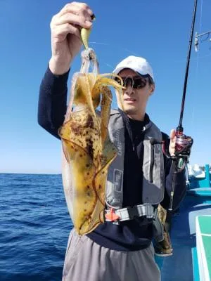 2019年11月5日の釣果・お知らせの写真