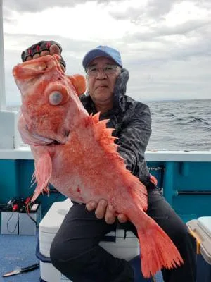 2019年5月31日の釣果・お知らせの写真 3