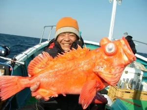 2012年1月3日の釣果・お知らせの写真