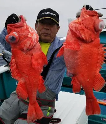 2019年6月18日の釣果・お知らせの写真 5