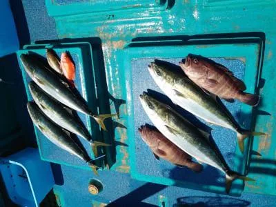 2022年5月4日の釣果・お知らせの写真 5