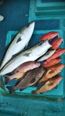 2018年5月27日の釣果・お知らせの写真 2