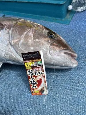 2026年6月12日の釣果・お知らせの写真 8