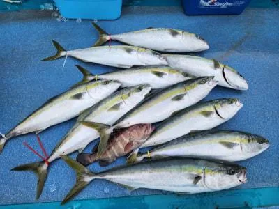 2023年6月8日の釣果・お知らせの写真 7