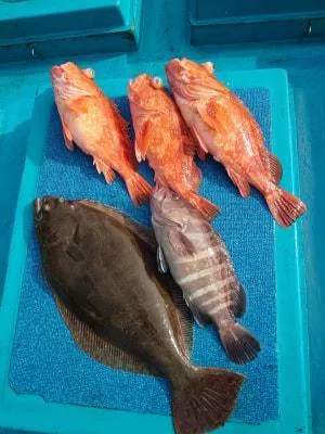 2023年12月20日の釣果・お知らせの写真 2
