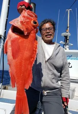2019年5月25日の釣果・お知らせの写真