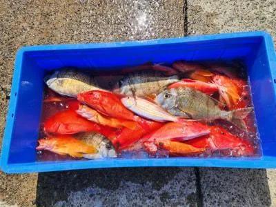 2026年3月5日の釣果・お知らせの写真 2
