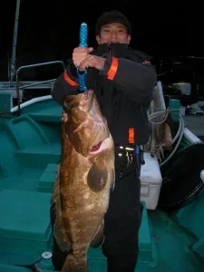 2010年11月19日の釣果・お知らせの写真