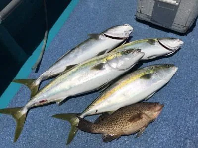 2018年7月21日の釣果・お知らせの写真 3