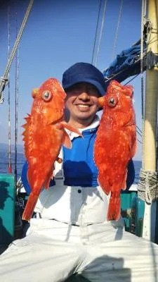 2019年5月12日の釣果・お知らせの写真 8