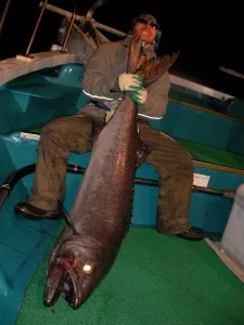 2011年11月28日の釣果・お知らせの写真 4