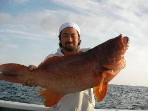 2009年5月30日の釣果・お知らせの写真