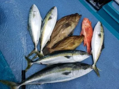 2022年6月13日の釣果・お知らせの写真 7