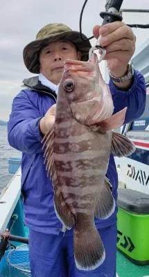 2019年4月29日の釣果・お知らせの写真