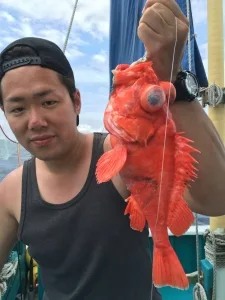 2016年6月8日の釣果・お知らせの写真 8