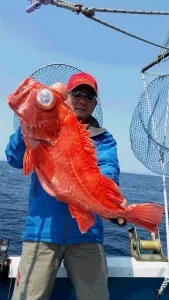2017年4月14日の釣果・お知らせの写真