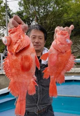 2019年5月12日の釣果・お知らせの写真