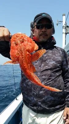 2018年3月31日の釣果・お知らせの写真